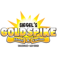 Gold Spike Hotel & Casino