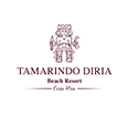 Hotel Tamarindo Diria Beach Resor