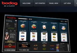 Bodog Online Live Dealer Studio Underway