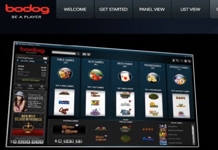 More Staff Recruited at Bodog Europe