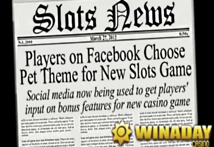 WinADay Casino Players Consulted on Pet Theme for New Slot