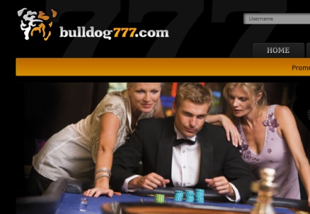 Microgaming Live Dealer Product for Bulldog777