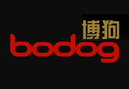 New COO for Bodog Asia