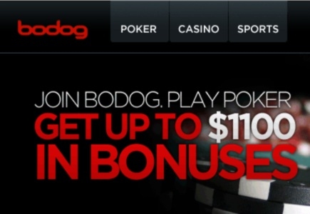 Additional Charges Against Former Bodog Exec Robert Gustafsson