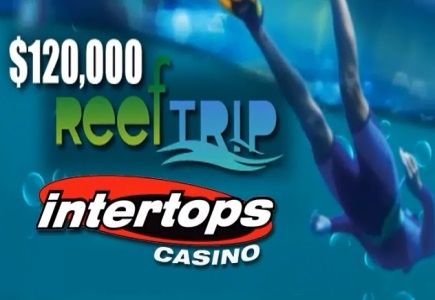 Get into the $120,000 'Reef Trip' Leaderboard Race at Intertops Online Casino