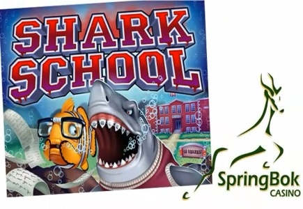 Attend Shark School at Springbok Casino