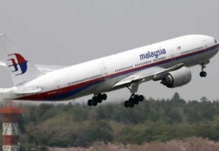 Bogus Websites Created to Cash in on Malaysian Airlines Tragedy