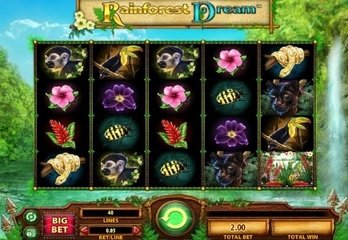 WMS Launches Rainforest Dream