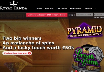$77k Awarded to Two Royal Panda Players Just in Time for the Holidays