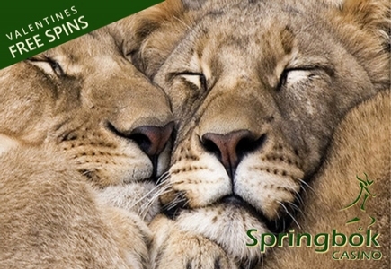 Claim 140 Free Spins on God of Wealth from Springbok Casino