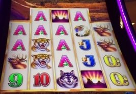 Aristocrat’s Buffalo Grand Pays $2.64M in Jackpots Across Four American Casinos