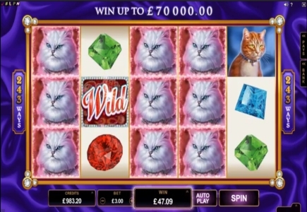 May/June Slot Releases from Microgaming