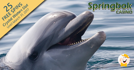 Dolphin Awareness Free Spins at Springbok Casino