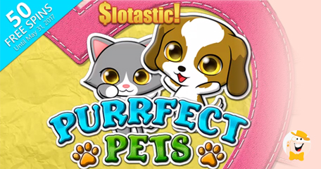Claim Purrfect Pets Free Spins from Slotastic
