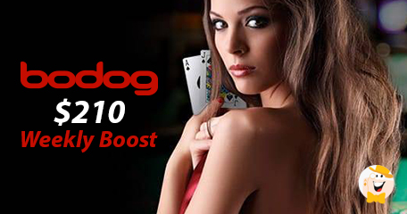 Bodog Casino Hosts Weekly Hit & Draw