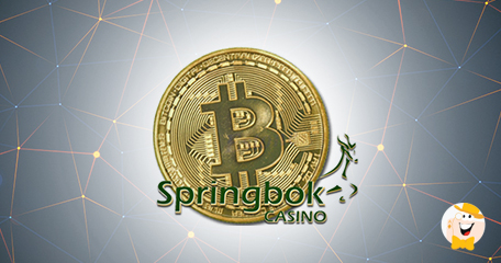Bitcoins for Springbok