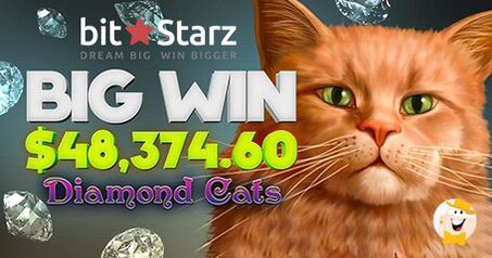 Un Giocatore Bitcoin Vince 48.374 $ Al BitStarz