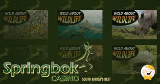 Springbok Casino Presents: Animal Facts 