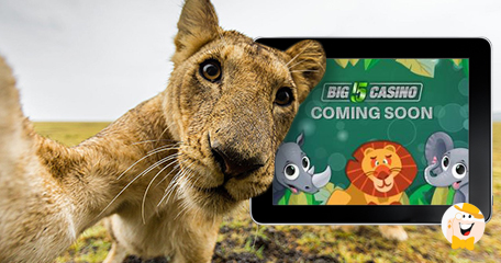 Embark on A Safari Experience at Big 5 Casino