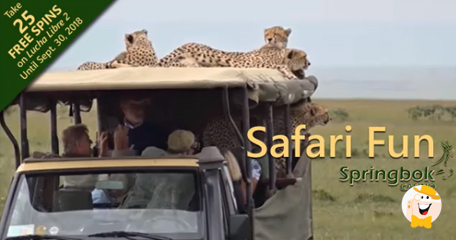 Springbok Has Some Safari Fun in September