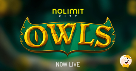 Nolimit City Delivers Live Game Owls