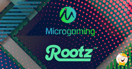 Microgaming Teams up with Rootz Ltd via Wildz Casino