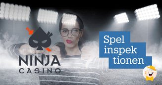 Spelinspektionen Rejects Relaunch of Swedish Ninja Casino