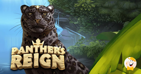 Visit Exotic Jungles of Amazon in Quickspin’s Lushly Painted Panther’s Reign Slot