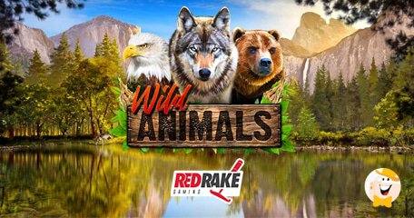 Ascolta la Fauna Selvatica (Wild Animals) Ruggire Rumorosamente mentre Entra nel Catalogo del Red Rake