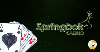 South Africa's Springbok Casino Welcomes New Year with Best Wishes