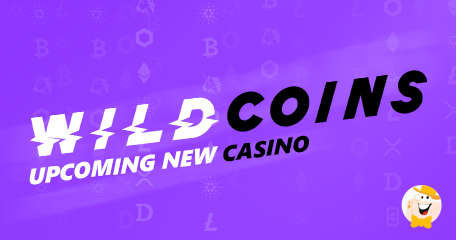 There's a New Brand in Sight, Coming This November: It's WildCoins Casino!
