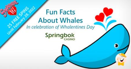 Springbok Casino Pays Homage to Whales with Valuable Whalentine's Day Promo