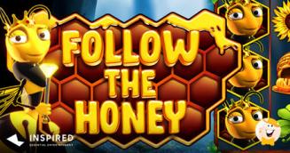 INSPIRED presenteert gokkast met bijenthema: Follow the Honey