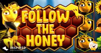 INSPIRED Presenta una Slot Avente come Tema le Api dal Titolo Follow the Honey