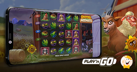 Play’n GO Potenzia la sua Suite con la Slot dal Titolo Animal Madness
