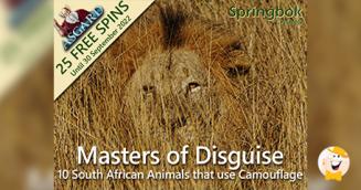 Springbok Casino Introduces Masters of Disguise Promotion