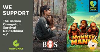 GAMOMAT Sostiene le Attività della Fondazione 'Borneo Orangutan Survival' con la Slot Monkey Mania