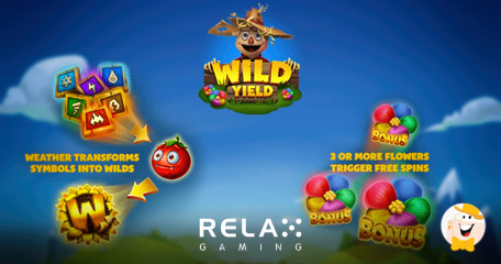 Win Up to x50,000 the Bet Only in Relax Gaming's Wild Yield!