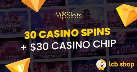 LCB Shop präsentiert stolz 2 neue Artikel vom VipSlots Casino