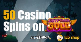 Slots Ninja Casino Fills the Racks in December with a New Shop Item