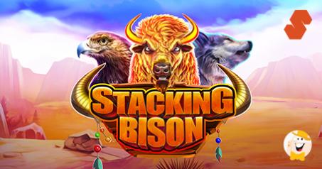 Swintt Amplia il Proprio Portafoglio con una Slot ad Alta Volatilità dal Titolo Stacking Bison