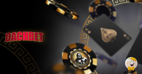 Dachbet Casino and OlympusBet Casino Added to LCB Rewards