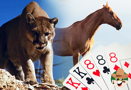 Lions, Horses and Poker