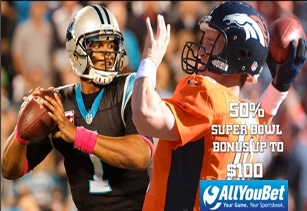 Oddsmakers Predict Carolina Panthers to Take Victory in Super Bowl 50