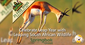 Springbok Casino Presents Leap Year Bonus While Marveling at Leaping Wildlife