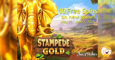 Experience Stampede Gold, A Thrilling African Adventure Now Live at Juicy Stakes Casino