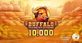 Buffalo Hold and Win Extreme 10,000 BY Booming Games Raises the Stakes