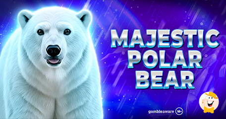 Spinomenal Unveils Majestic Polar Bear Winter-Themed Slot