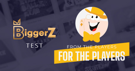 BiggerZ Test: 5 Days for $228.51 Skrill Cashout?!