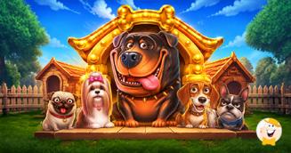 The Big Dog House ergänzt das Spiel mit gigantischen Wild-Features